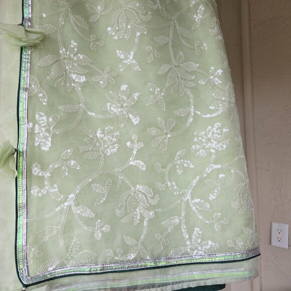 Light Green Organza Saree NEGOTIABLE - Picture 3 of 10